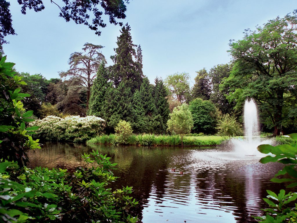 een natuurlijke vijver met bomen en struiken er omheen, rechts een fontein